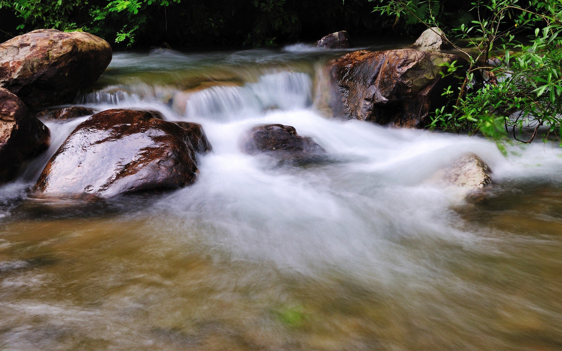 风景,河流,流水