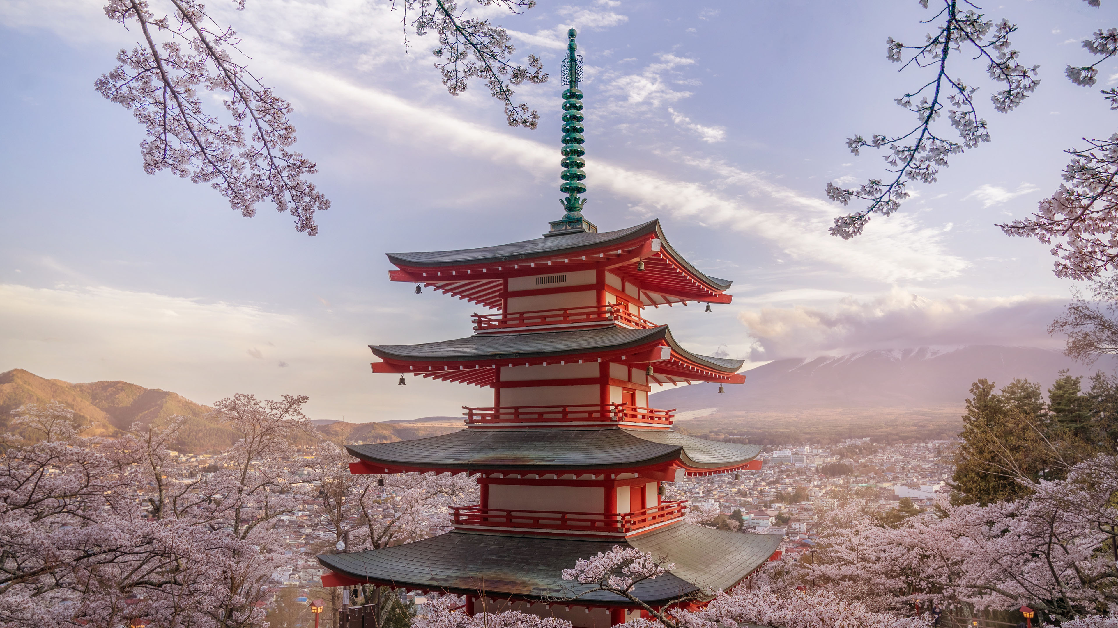 风景大片,春意盎然,塔楼,樱花,日本