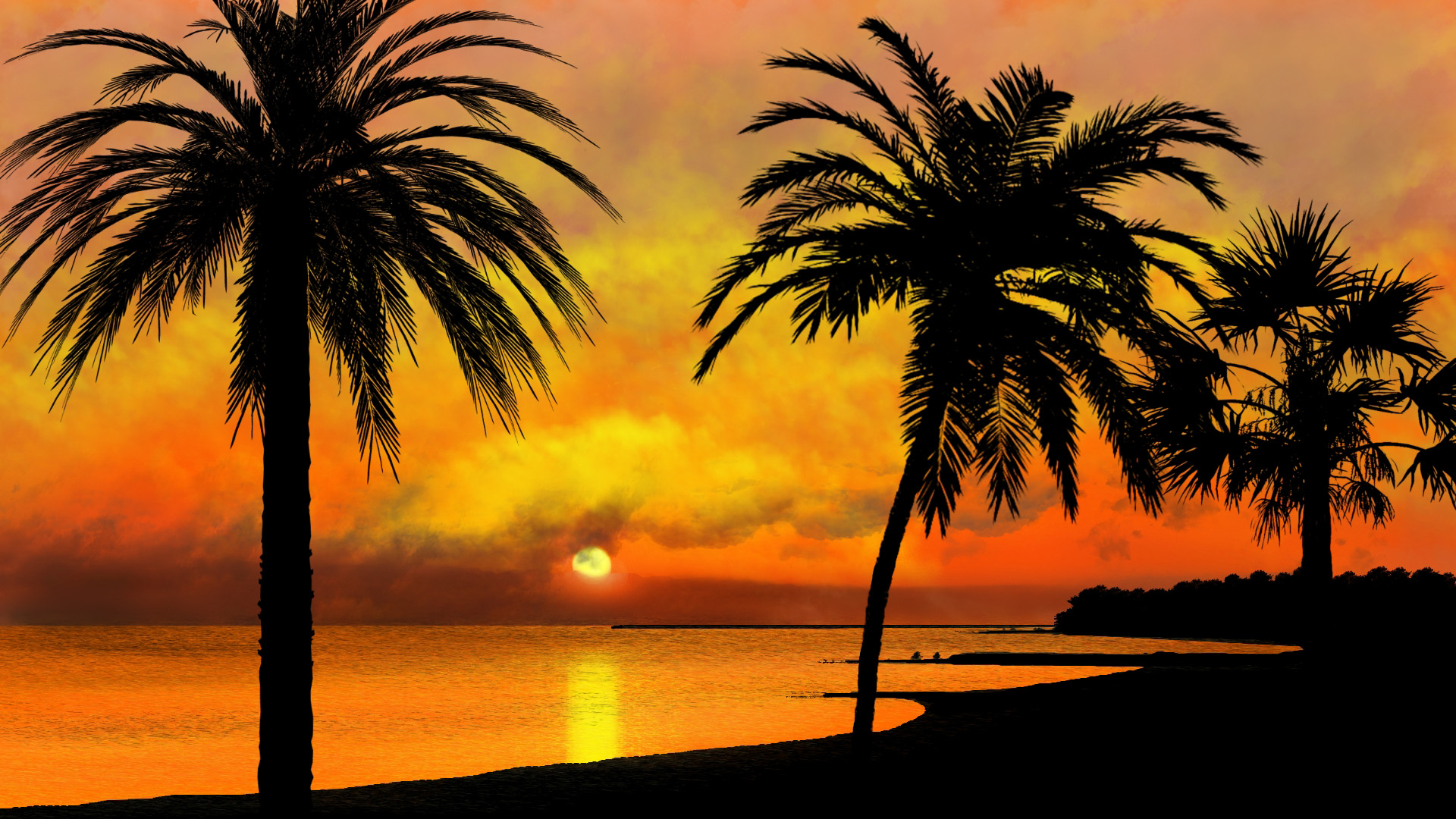风景大片,落日余晖,椰树,海岸,太阳