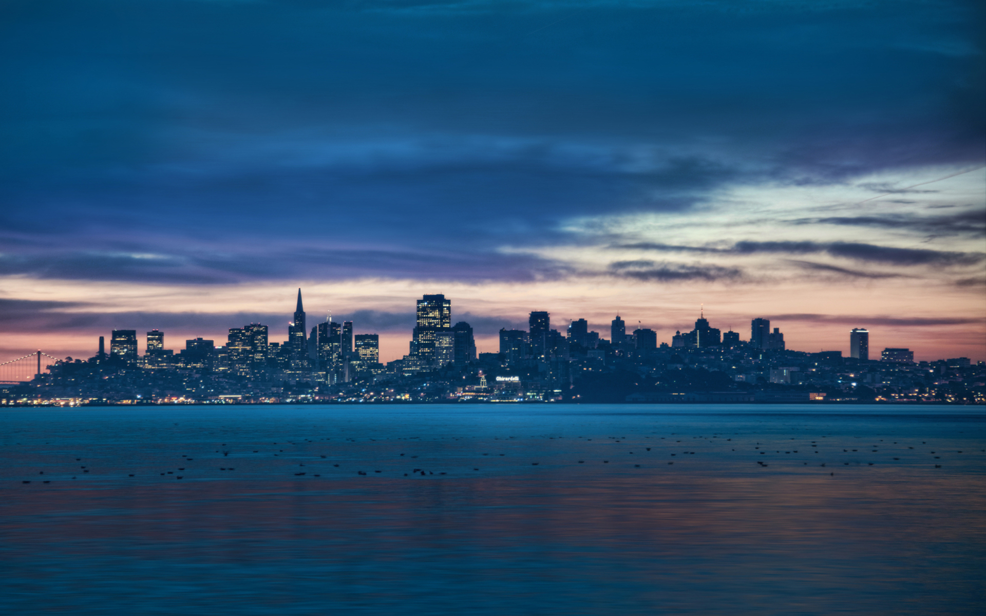 风景大片,城市夜景,旧金山,大片